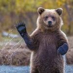 Gerardo Bedolla - @gerardo.bedolla.58 - Instagram