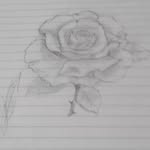 Gerardo Lima Camarillo - @gerardolimacamarillo02 - Instagram
