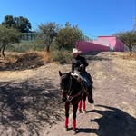 Gerardo Carrasco - @gerardocarrasco461 - Instagram