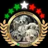 Gerardo Carrasco - @gerardo.carrasco407 - TikTok