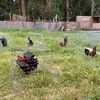 Gerardo Casas - @gerardo.casas54 - TikTok