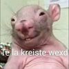 Gerardo Ceja - @gerardoceja160102 - TikTok