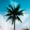 gerardo collado - @biggerard77 - TikTok