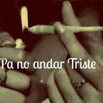 GERARDO collado GOVEA - @gerardocollado14 - Instagram