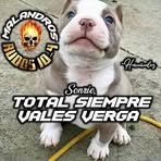 Gerardo Cota - Facebook