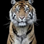 Gerardo Deleon - @gerardo9367 - Instagram