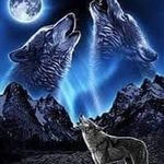 Gerardo Labra del Villar - @gerardo.labradelvillar - Instagram