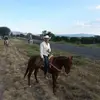 Gerardo - @gerardoledesma515 - TikTok