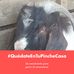 Gerardo Ledesma - Facebook