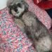 Gerardo Leos - Facebook