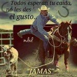 Gerardo Lerma - @gerardo_lermma - Instagram
