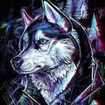 Gerardo Leví - @gerardolevixd - Instagram