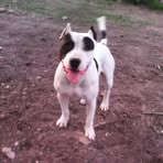 Gerardo Licea - Facebook