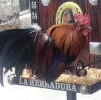 Gerardo Lizardi Uribe - Facebook