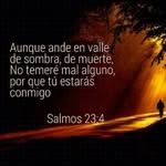 Gerardo Lizardia - @gerardolizardia - Instagram