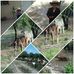 Gerardo Llamas - Facebook