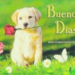 Gerardo Llamas Espinosa - @gerardo.llamasespinosa - Instagram
