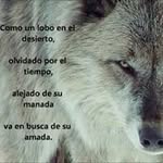 Gerardo Macedo - @jerryma15 - Instagram