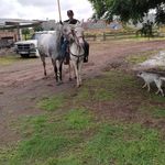 Gerardo Malagon🏜️ - @gerardomalagon6 - Instagram