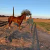 Gerardo Malagon - @malagon899 - TikTok