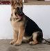 Gerardo Manzo - Facebook