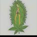 Gerardo Manzo - Facebook