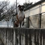 Gerardo Manzo - @gerardo.manzo.372 - Instagram