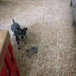 Gerardo Mares - @gerardo.mares.330 - Instagram