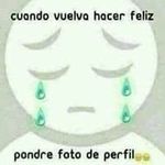 Gerardo Mariscal - @gerardo.mariscal.165 - Instagram