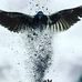 Gerardo Mata - Facebook