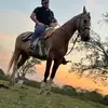 gerardomier118 - @gerardomier118 - TikTok
