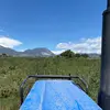 Gerardo Miron - @gerardo.miron0 - TikTok
