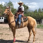 Gerardo Moncada - @gera.moncada - Instagram
