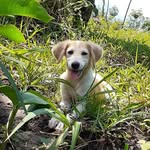 Gerardo Monzón - @gerardo.monzon.17 - Instagram