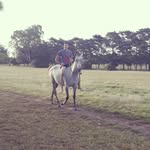 Gerardo Moreira - @moreira.gerardo - Instagram