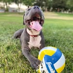 Gerardo Muniz - @lalo_muri - Instagram
