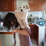 Gerardo Nolasco - @gerandroid - Instagram