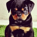 Gerardo Nolasco - @gerardo.nolasco.50115 - Instagram