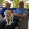 Gerardo Pantoja - @gerardopantoja - TikTok