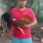 Gerardo Pantoja - @gerardo.pantoja.1217 - Instagram
