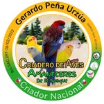 Gerardo Peña Urzúa - @aves_amaneceresdeelbosque - Instagram