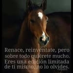 Gerardo Pompa - @gerardo.pompa.581 - Instagram