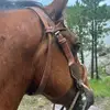 gerardopompaa - @gerardopompaa - TikTok