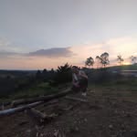 Gerardo Saenz - @gerardosaenz545 - Instagram