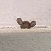 Gerardo Silverio - @gerardo.silverio2 - TikTok