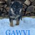 Gerardo Smith - Facebook