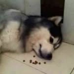 gerardosmith - @gerardo._smith - Instagram