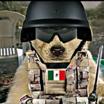 Gerardo Tarango Bahena - @gerardotarangobahena - Instagram