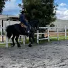 Gerardo Terrón Sanab - @gera.tesa - TikTok