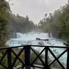 Thomas Gerardo - @thomas.gerardo5 - TikTok